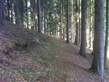 Linka1_1
